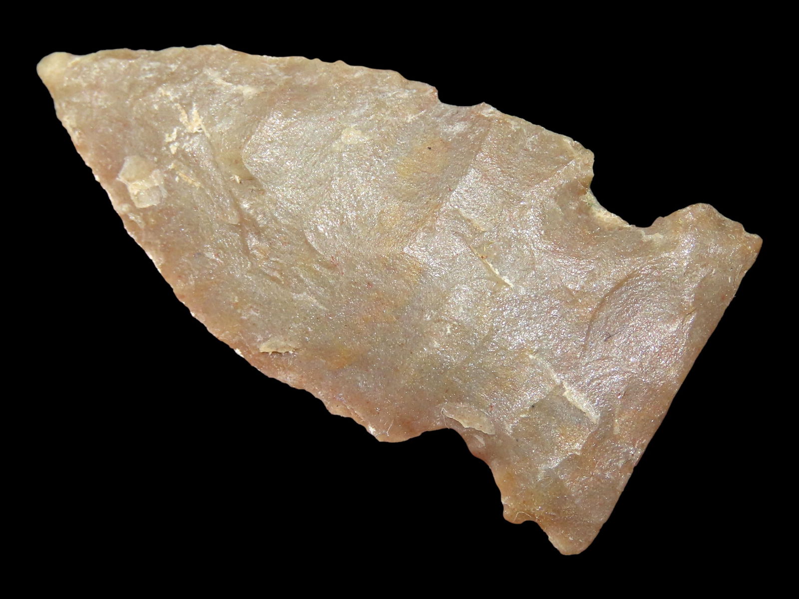 1 1/2" Side Notched Bird Pt., High Plains Gem Grade Artifact, Western States, Ex Robert Walter Colle (1 of 4)