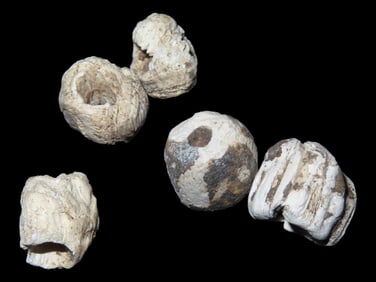 Lot of Shell Beads, Humphrey Co., Tennessee