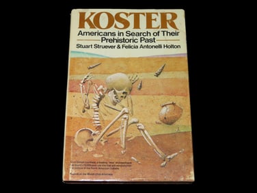 Koster Site Book By Stuart Strever