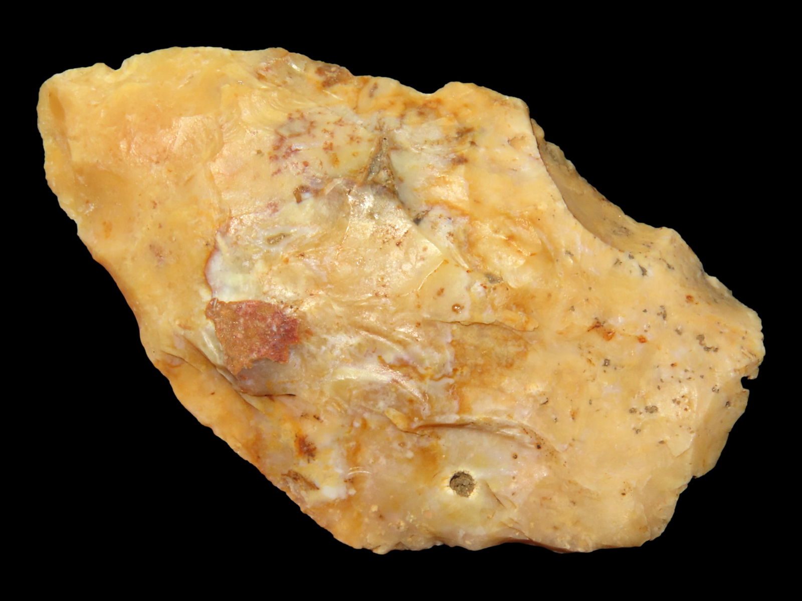 2 1/4" Marrow Pt., Nassau Co., Florida (1 of 4)