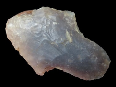 2" Arrowhead, Nassau Co., Florida