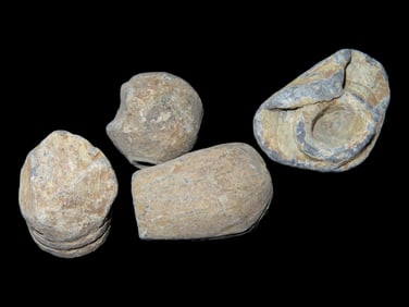 4 Civil War Musket Balls, Fired in Tennessee