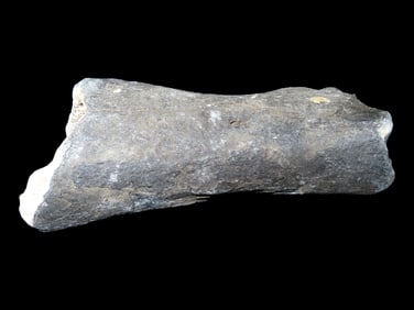 7 7/8" Fossilized Mammoth Bone, Iowa River