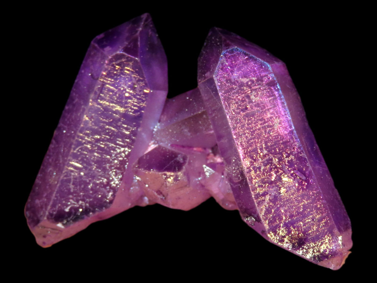 Nice 9" X 11" Frame with Midwestern Pts. Displayed (1 of 3)