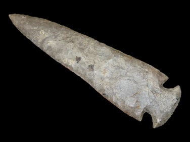 8 1/4" Grey Ghost