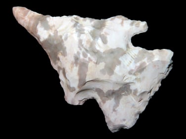 2" Drill, Found by Gary Nelson, Van Buren Co., Iowa