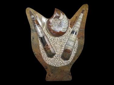 8X5 3/4" Ammonite, Amazing Display Stand, Morocco