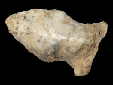1 1/8" Bird Pt., Indiana