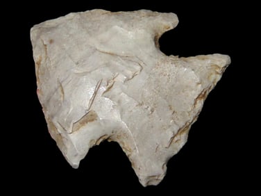 1 3/4" Bird Pt., Missouri