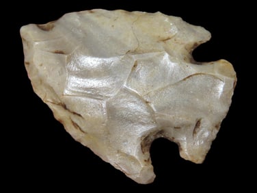 1 1/4" Bird Pt., St. Clair Co., Missouri