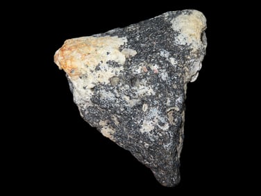 5 X 4" Large Piece of Fossilized Whale Bones, Florida