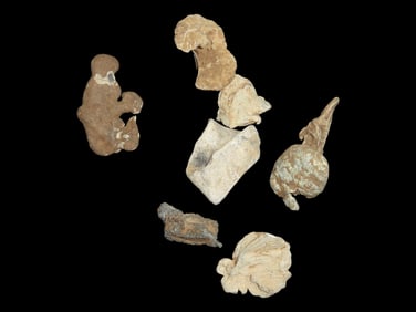 Fired Civil War Bullets, Private Land of Civil War Sites, Found by Boyd Cole, Wayne Co., Tennessee