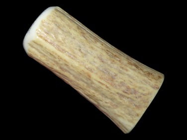 Vintage Deer Antler Toothpick Holder