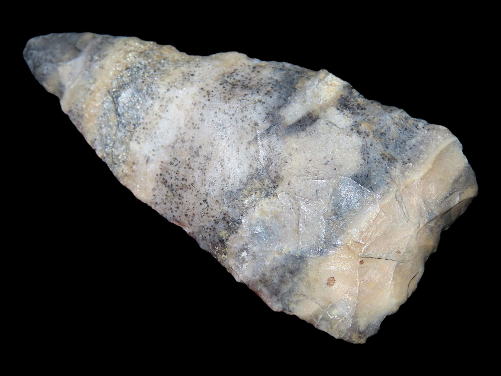 2 5/16" Scottsbluff, Davis COA, Miller Co., Missouri (1 of 7)