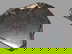 item-209235271=1