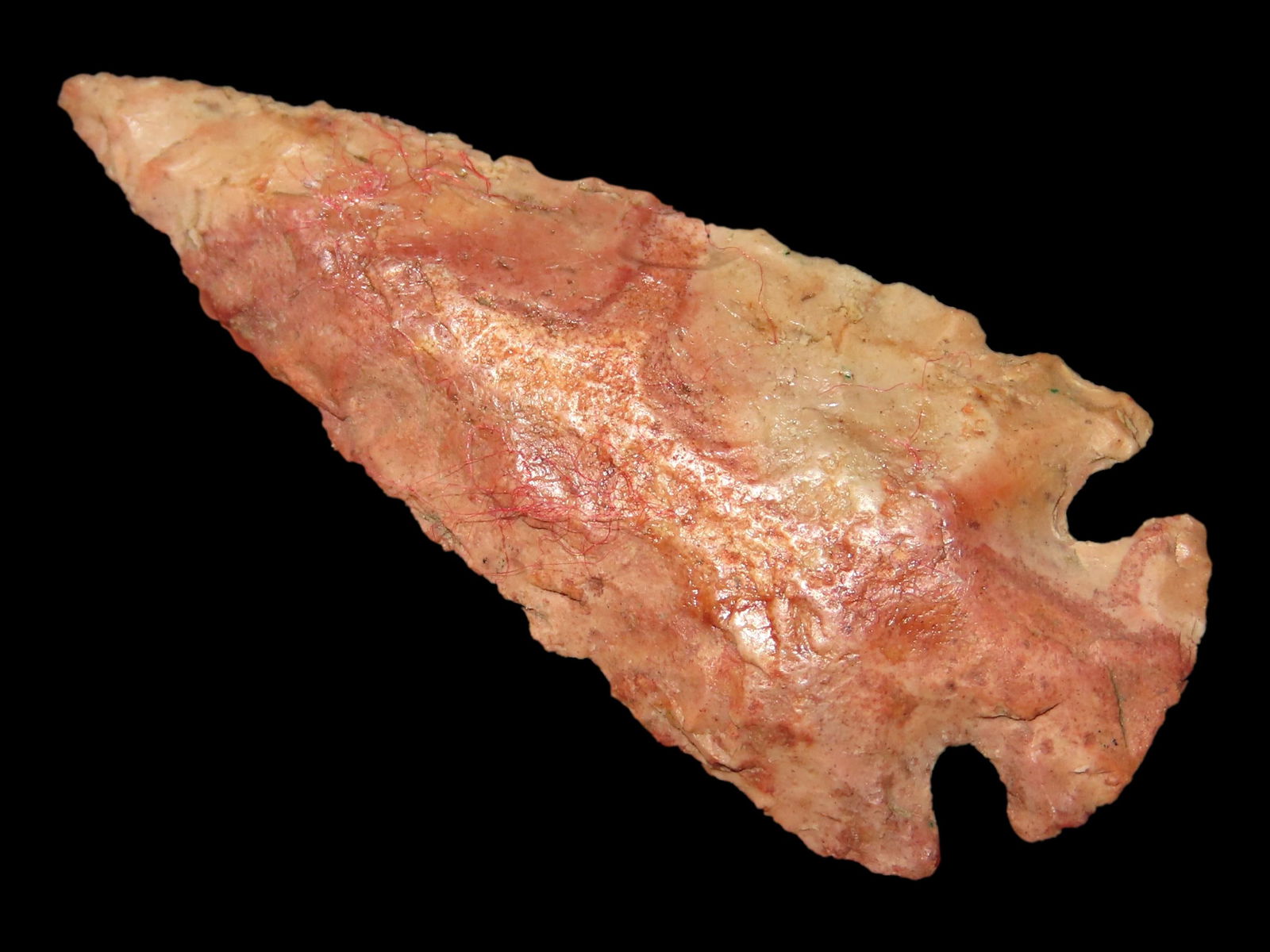 1 3/4" Quality Missouri. Bird Pt., Scallorn, EX Steve McCabe, Coll Missouri (1 of 6)