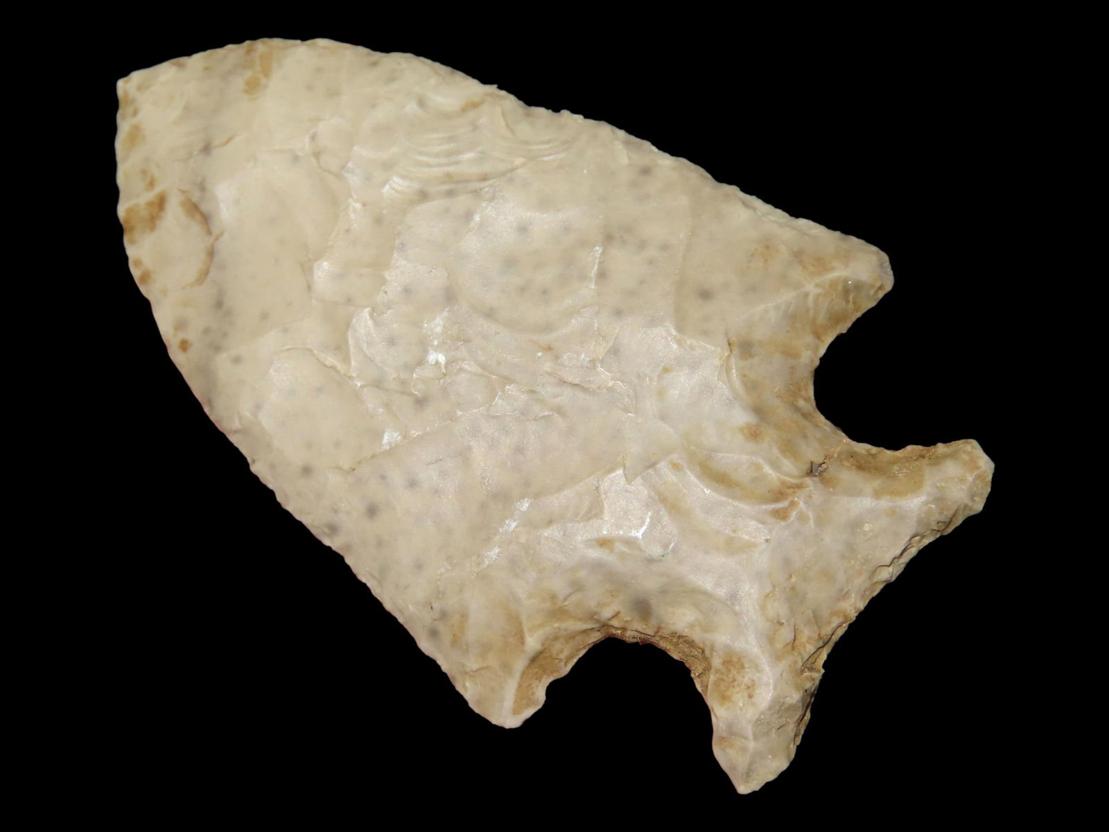 2 1/4" Stillwell,Keel COA EX Steve McCabe Coll., Milan, Missouri (1 of 7)