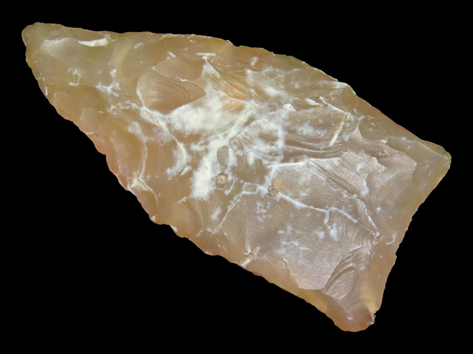 1 3/16" Copena, Dickey COA, Pinellas, Florida (1 of 7)