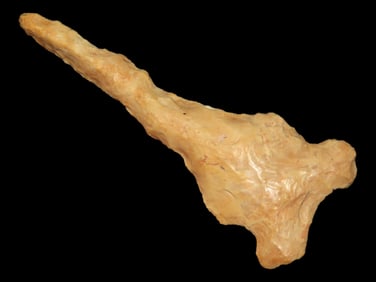 3 5/8" Osceola Drill, Motley COA, Sullivan Co., Missouri