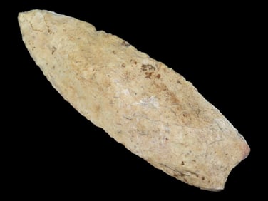 3 9/16" Searcy Tip, Rechip, Dickey COA, Found in Iowa
