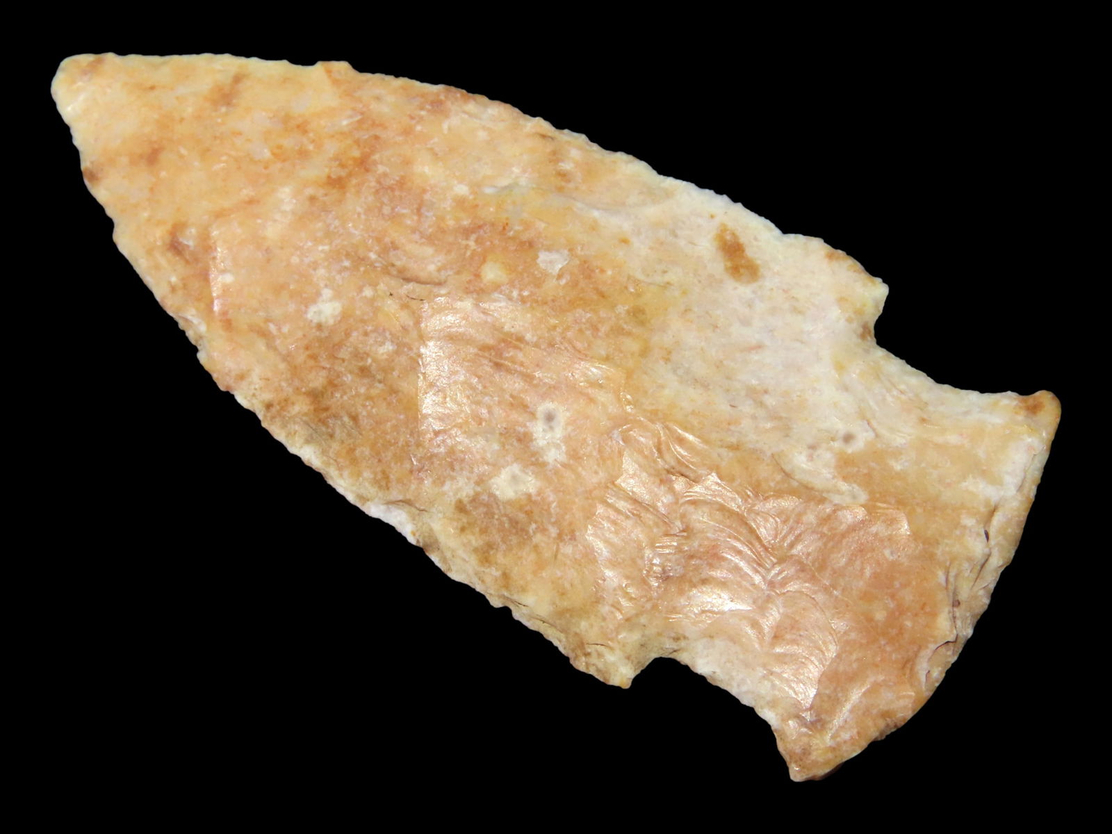 2 7/16" Steuben, Motley COA, Linn Co., Missouri: 2 7/16" Steuben, Motley COA, Linn Co., Missouri