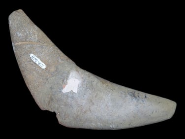 Winged Bannerstone * Half Restored*  EX Bennett, Auction HM-611