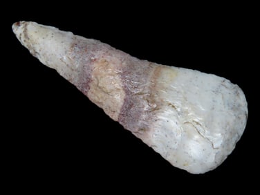 3 1/2" Cobbs Blade, Motley COA, Sullivan Co., Missouri
