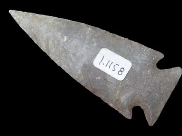2 1/8" X 1 5/8" Limestone Cone, Found on the Pool Site Super Deep Cup.