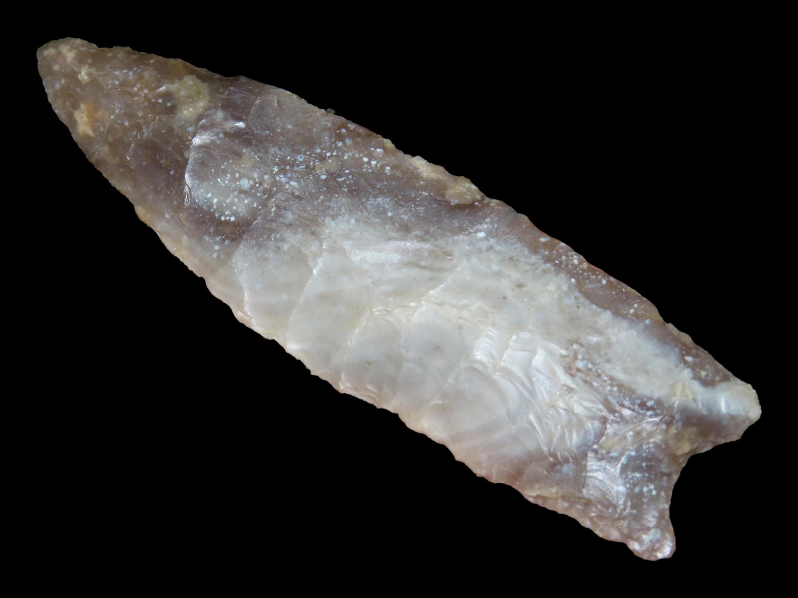 3 1/8" St. Mary"s Hall, Dickey COA, found near the San Antonio River, Bexar Co.,Texas in 1929. Ex: 3 1/8" St. Mary"s Hall, Dickey COA, found near the San Antonio River, Bexar Co.,Texas in 1929. Ex Todd Chism, Ex Bill Pettit