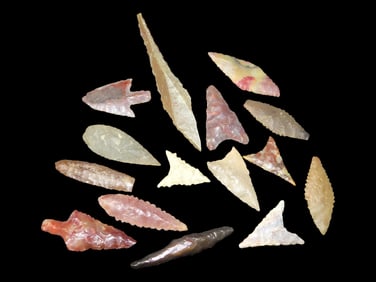 15 Neolithic Pts. Found in North Africa