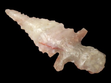 3/4" Neolithic Eccentric Bird Pt., Northern Africa