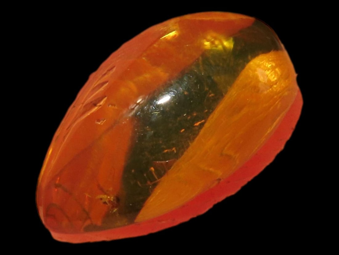 Dominican Amber with Insect 15-20 Million Years Old: Dominican Amber with Insect 15-20 Million Years Old