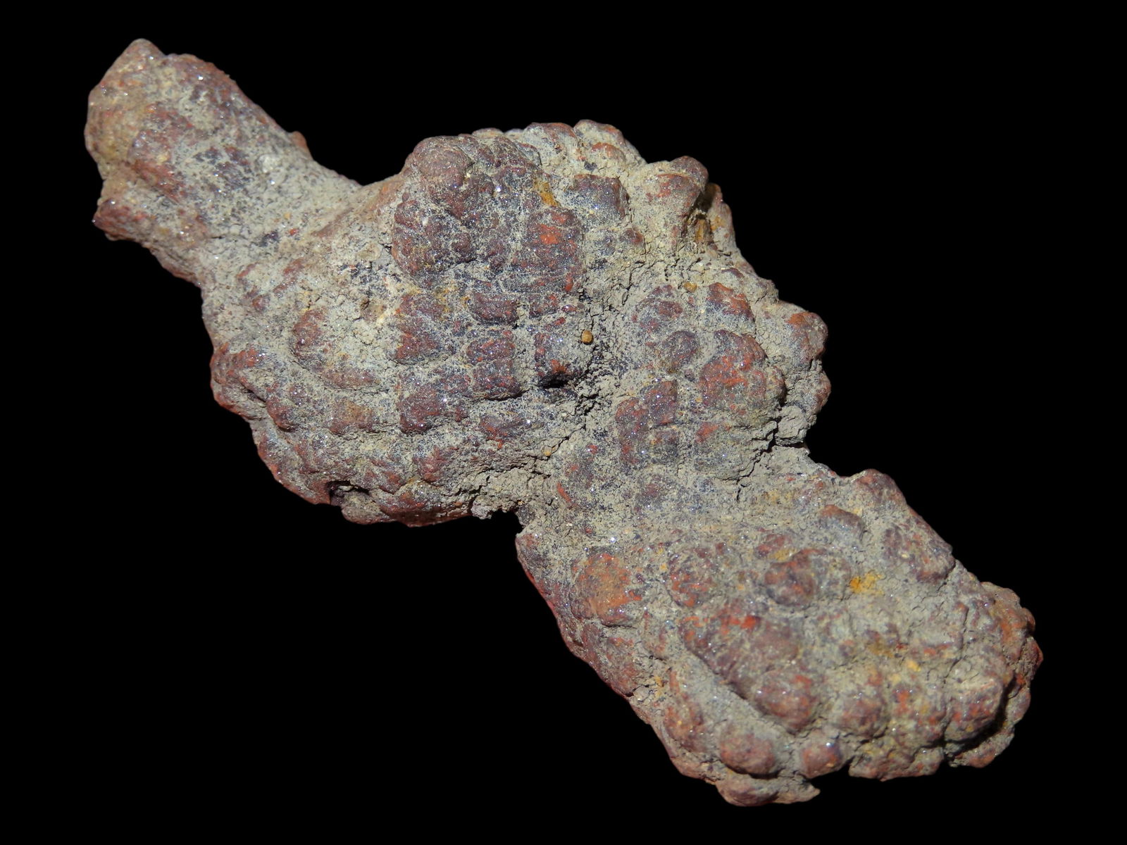 3 1/8" Coprolite Fossil Dinosaur Poop, 100 Million Years Old, Madagascar: 3 1/8" Coprolite Fossil Dinosaur Poop, 100 Million Years Old, Madagascar