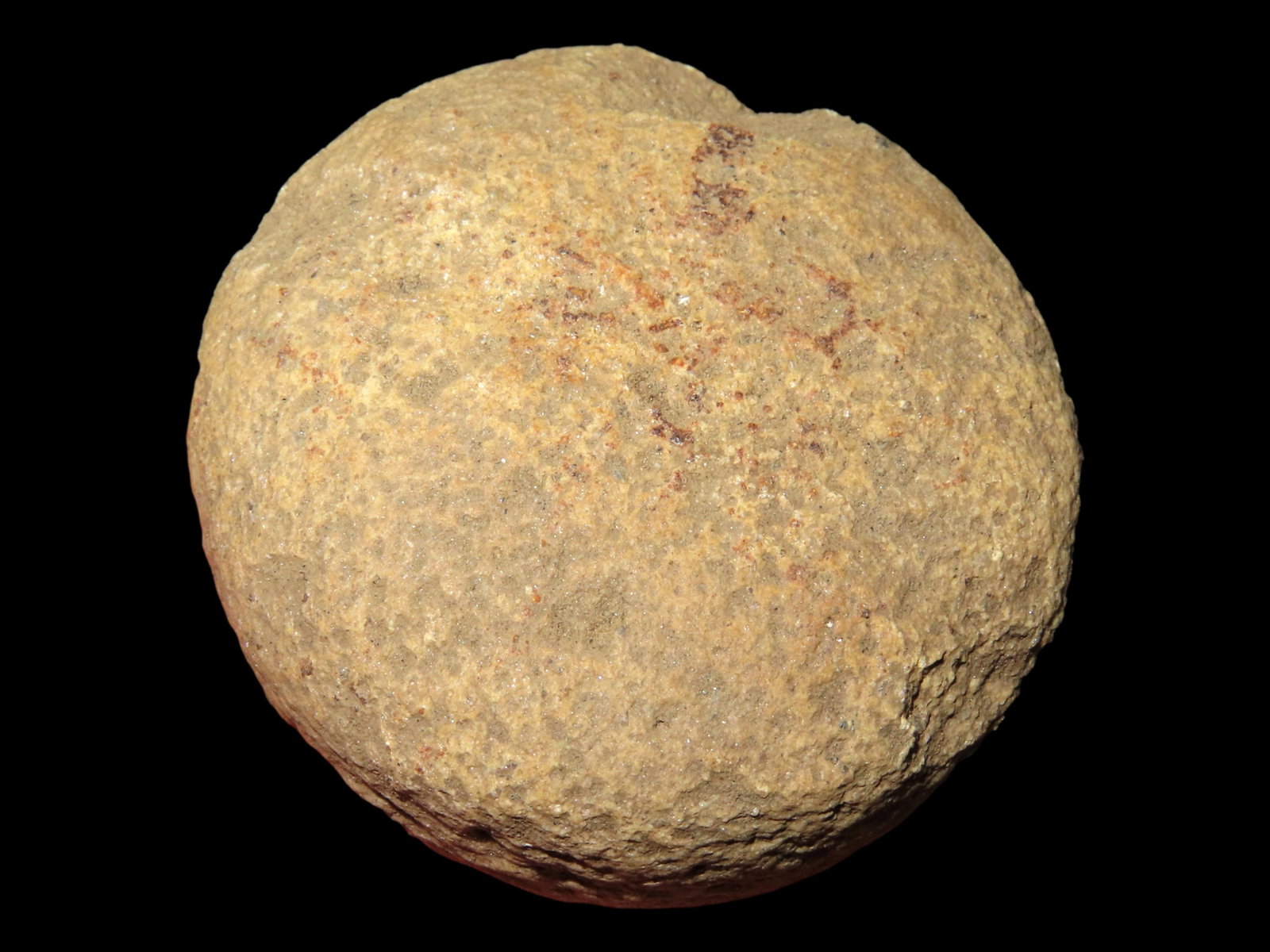 1 7/8" Discoidal Biscuit Style Found by Darrell Coffey in Tennessee: 1 7/8" Discoidal Biscuit Style Found by Darrell Coffey in Tennessee