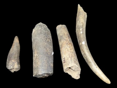 Tennessee Deer Antler Knapping Tool Kit