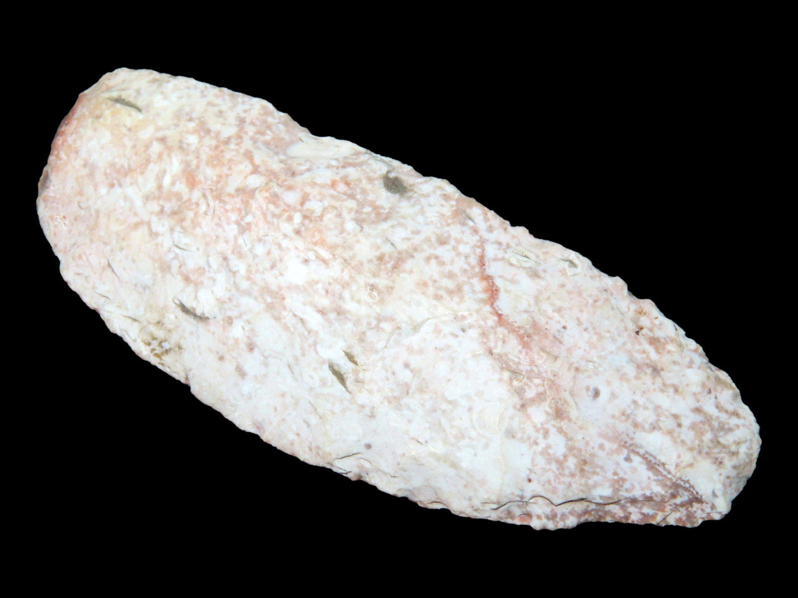 2 7/8" Paleo Blade, Steve McCabe Collection, Milan and Sullivan Co., Missouri (1 of 4)