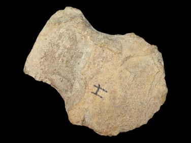 3 1/2" Flint Axe or Notched Hoe, Hickman Co., Kentucky