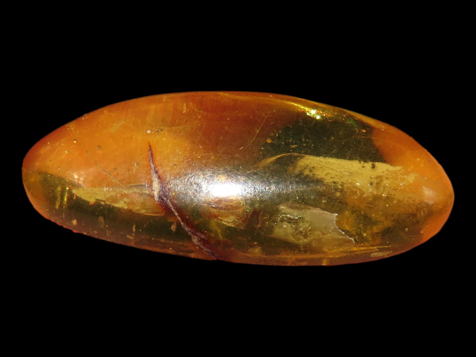 Dominican Amber with Insect 15-20 Million Years Old, Dominican Republic: Dominican Amber with Insect 15-20 Million Years Old, Dominican Republic