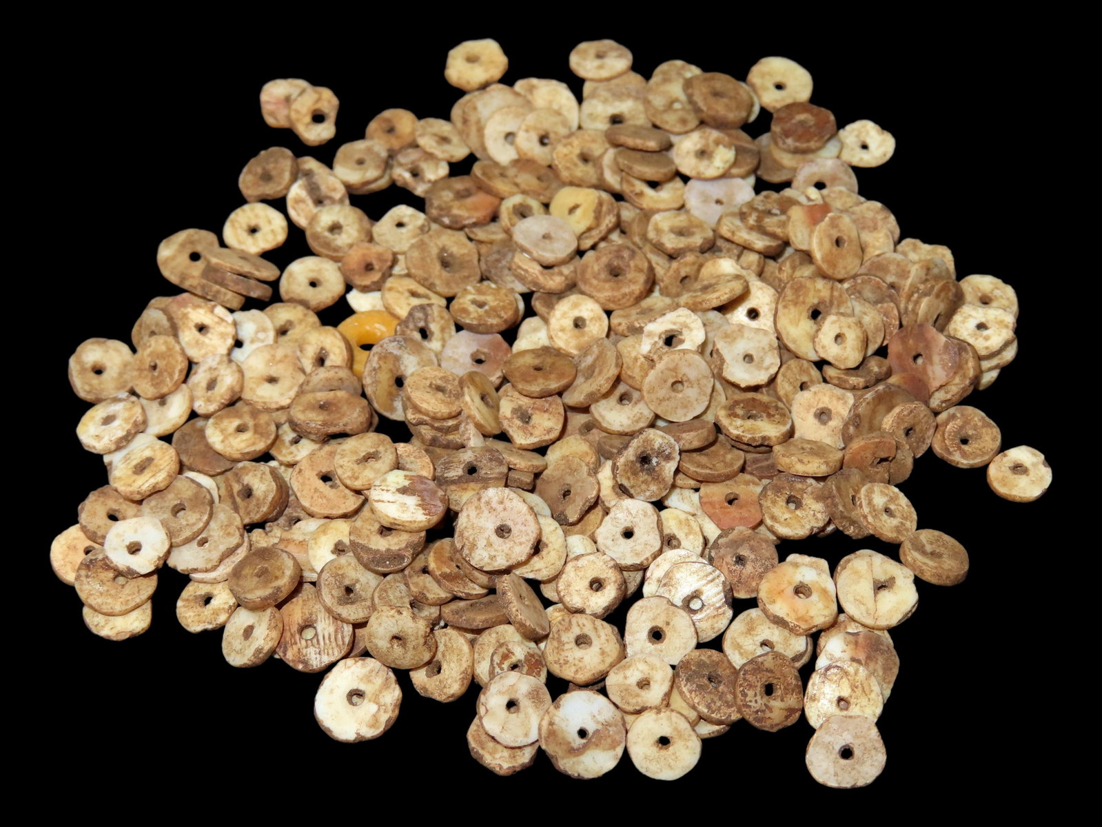 Lot of Prehistoric Shell Beads, Arizona: Lot of Prehistoric Shell Beads, Arizona