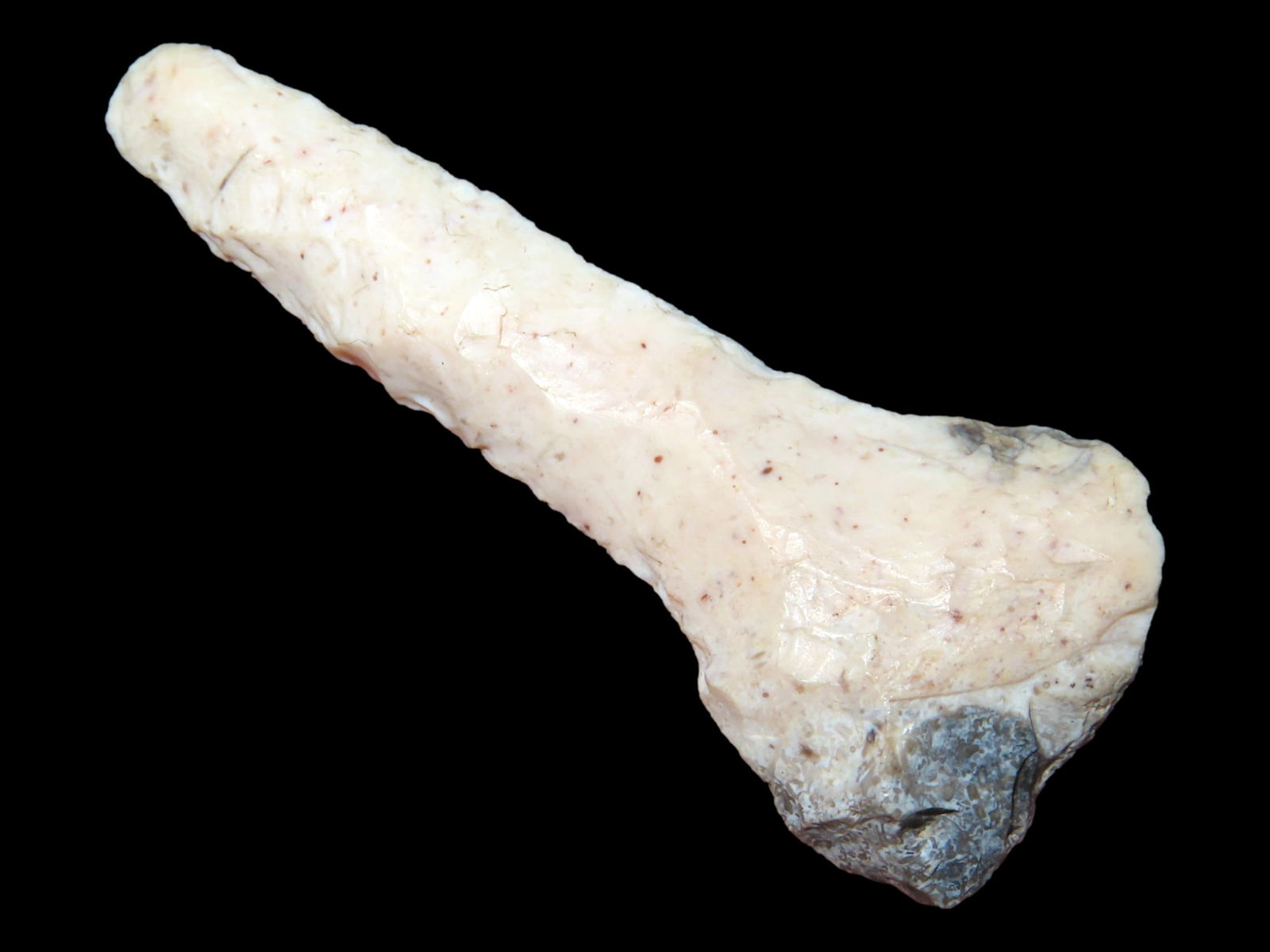 1 3/4" Colorful Well Made Paddle Drill, Steve McCabe Collection, Sullivan Co., Missouri (1 of 4)