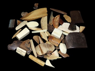 Amazing Group of Alaska Mammoth Mastodon Fossilized Polished Tusk,