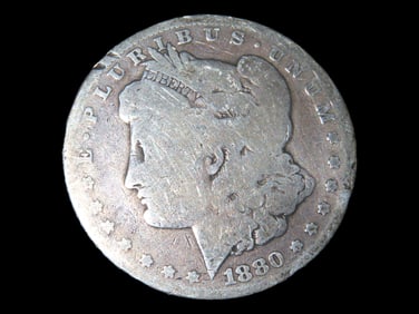 1880 Morgan Silver Dollar
