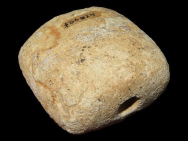 2 1/4" Gneiss Bannerstone Preform, Partially Drilled, Marked $06824