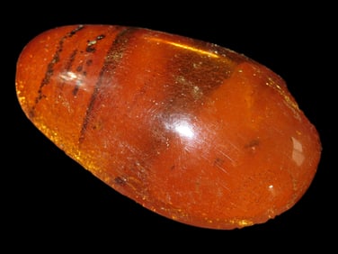 Fossil Amber Found in Europe, Private Collection