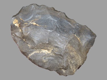 1 1/2" Blade, EX Steve McCabe Collection, Sullivan Co., Missouri