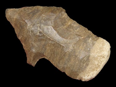 1 3/4" Square Stem Pt.