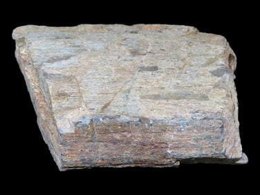 Dinosaur Bone from South Dakota
