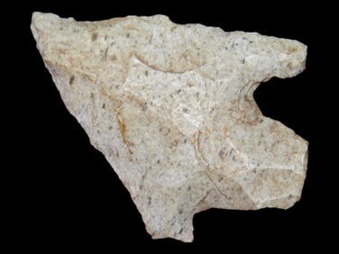 1 3/4" Melville Pt., EX Steve McCabe, Sullivan Co., Missouri