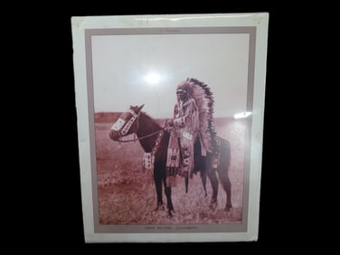 16" X 20" Chief Hector- Assiniboin