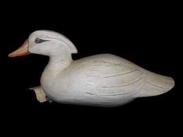 14 1/2" Hand carved and painted decoy- "Albino" Wood Duck.